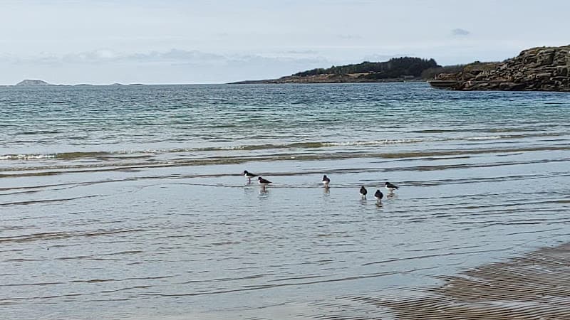 Baignade NO-S