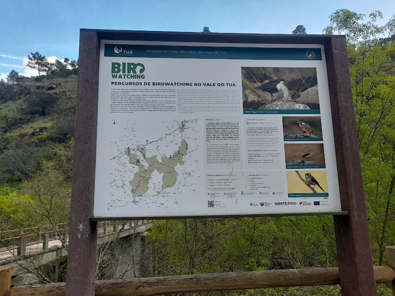 Praia Fluvial de Martim