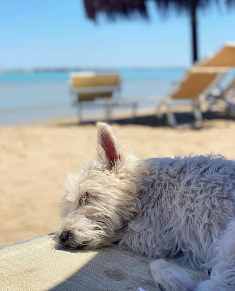 Lido Sabbia D'Oro Bau Miao Beach