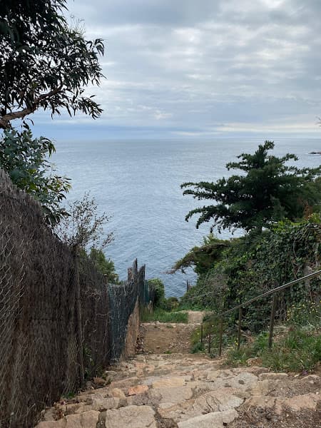 Platja dels Lliris