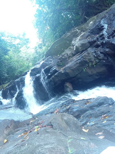 Cascada Alba