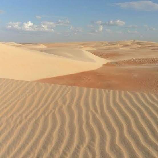 Praia da Roza do Norte