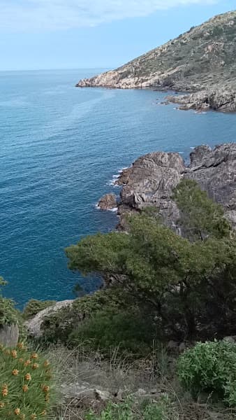Cala Torta (El Port de la Selva)