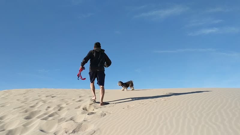 Oceano Dunes