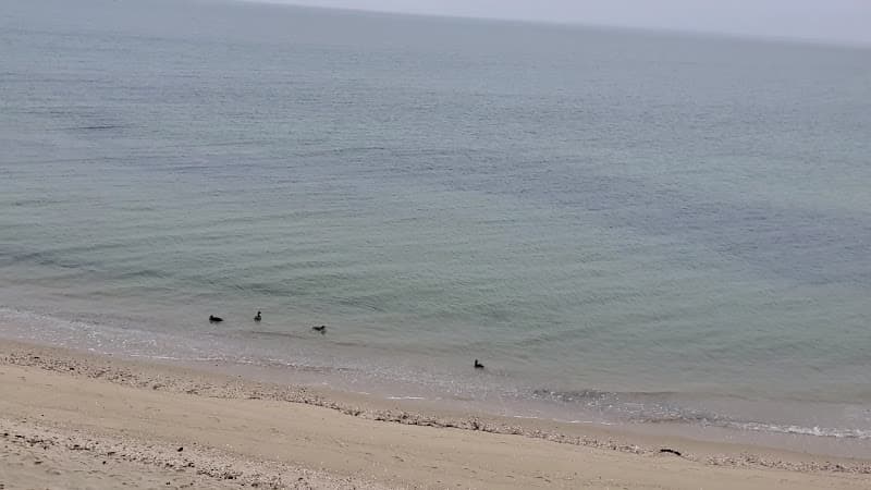 Depot Street Beach