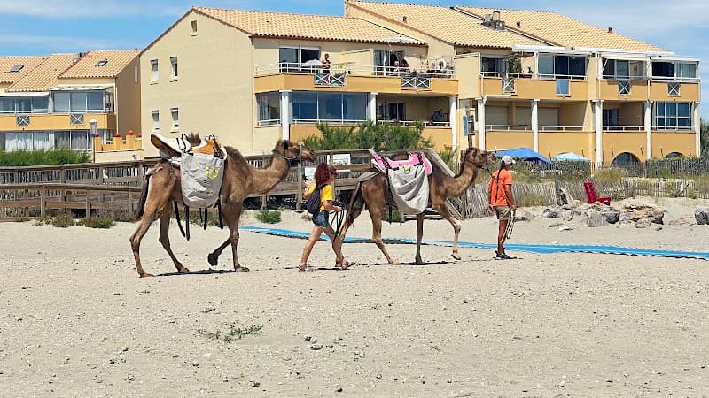 Plage de l'Entrée