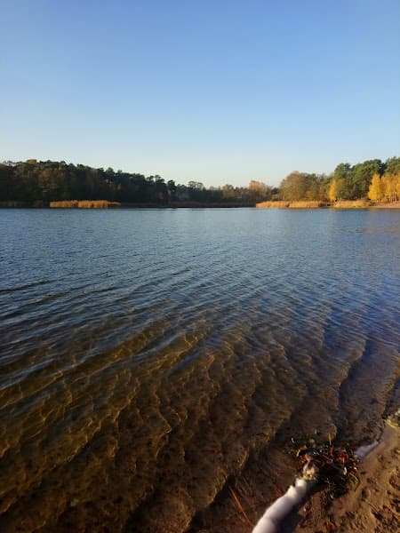 Plaża "Cypel"