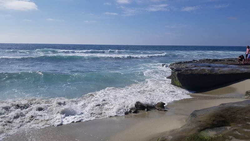 La Jolla Tide Pools