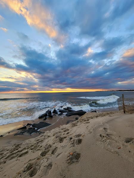 The Cove