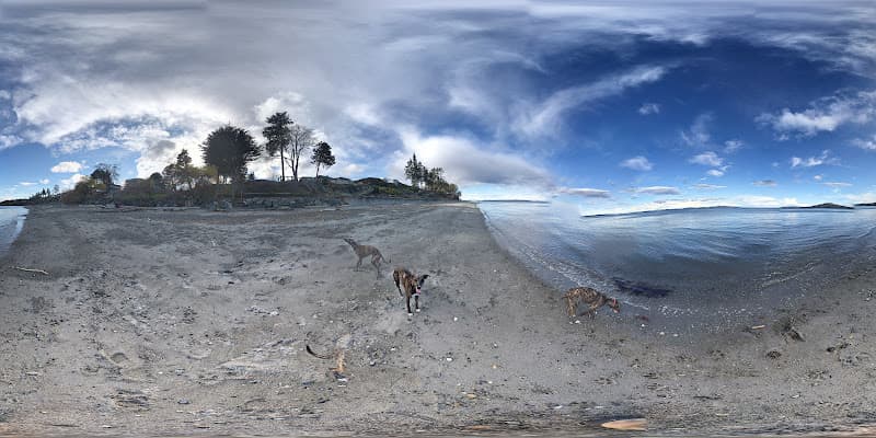 Sayward Beach