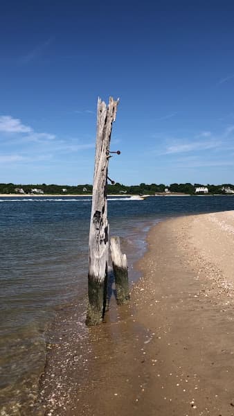 Shell Beach