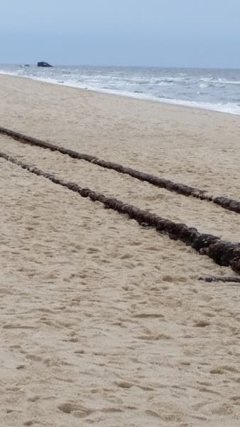 Higbee Beach