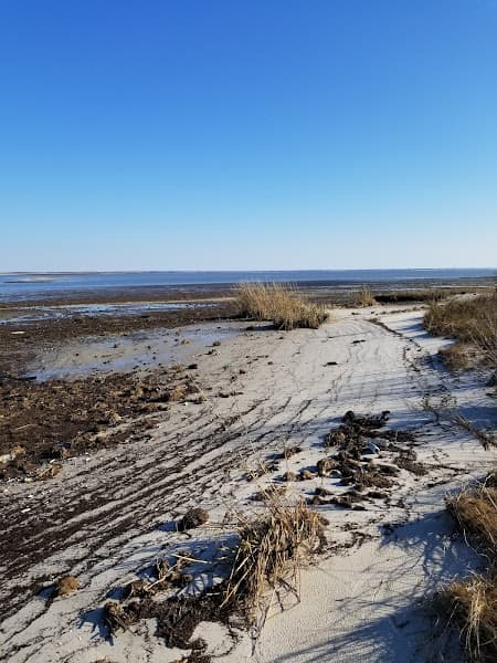 Moores Beach