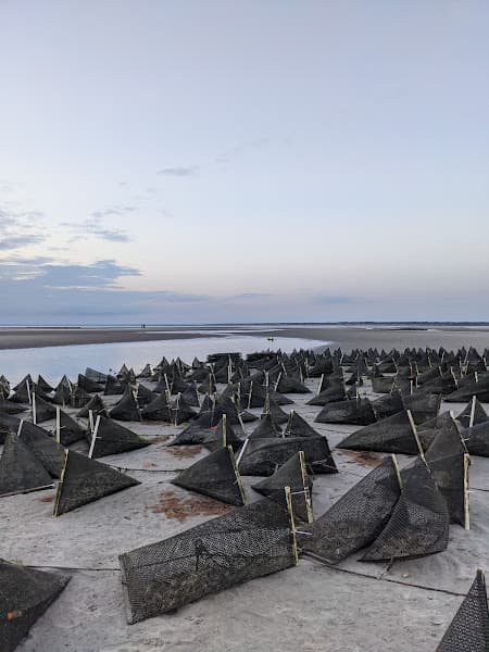 Skaket Beach