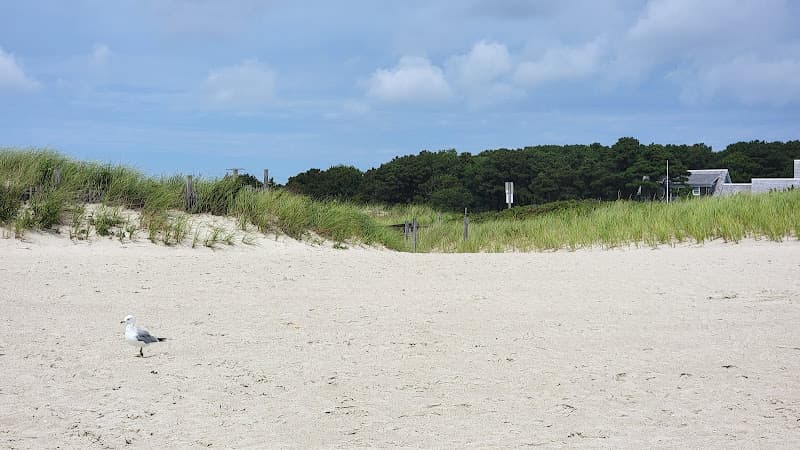 Bass River Beach