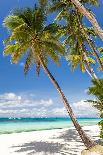 Sea Street Beach