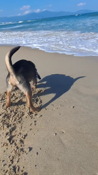 Non Nuoc Beach