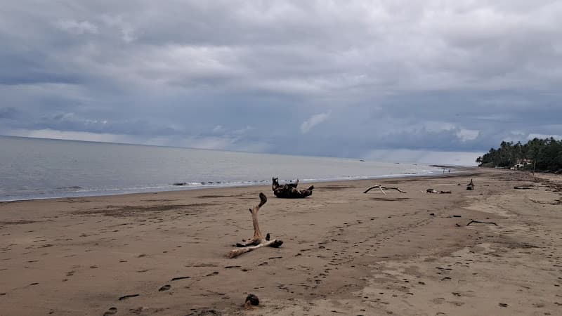El Estero