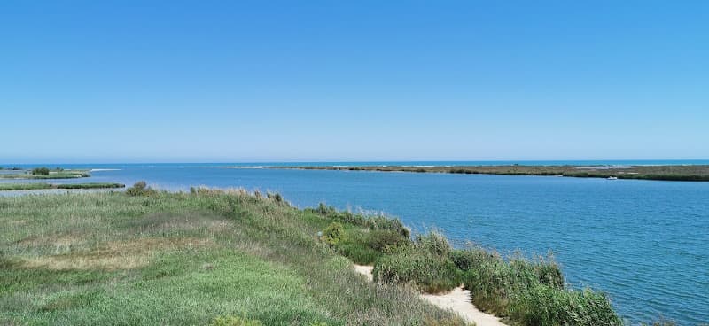 platja dels Eucaliptus