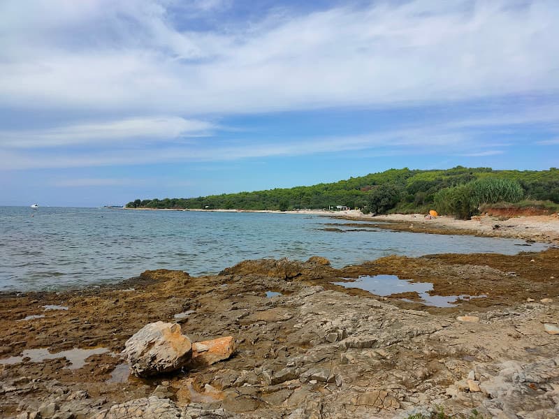 dog beach