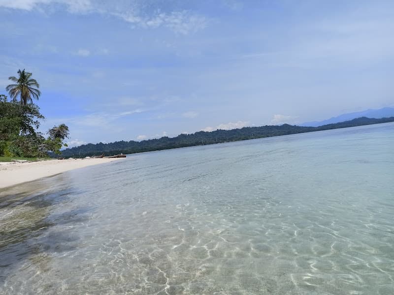 Punta Cáguamo