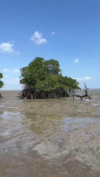 Playa El Salado