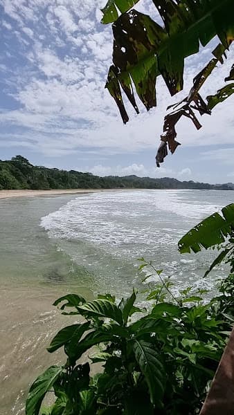 Shade Beach