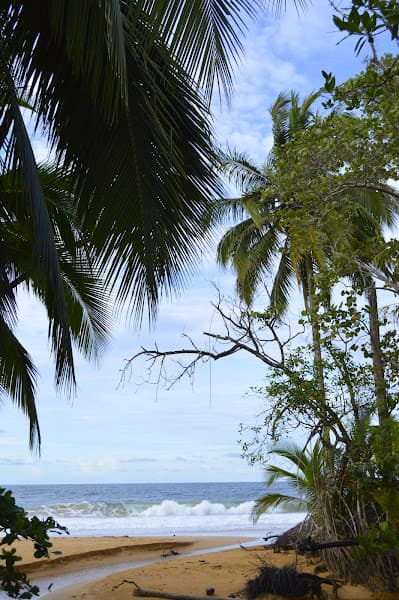 Playa Bluff