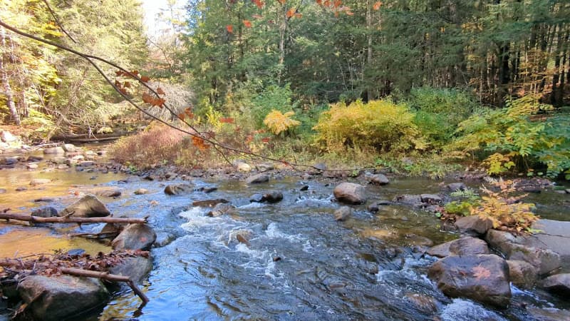 Mink Brook Swimming Area