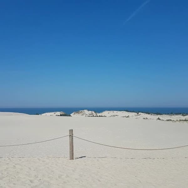 Plaża dla zwierząt