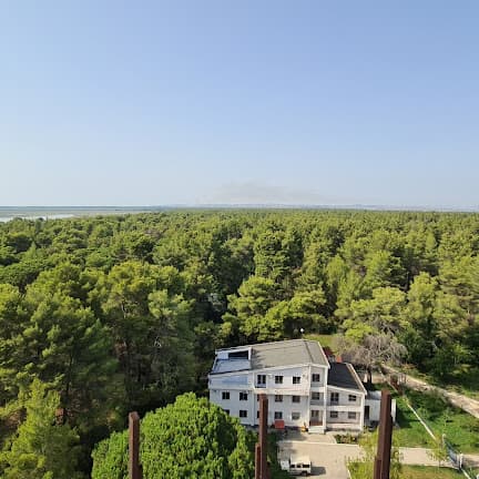Divjaka beach