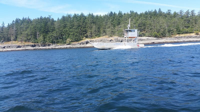 Isabella Point Road Beach