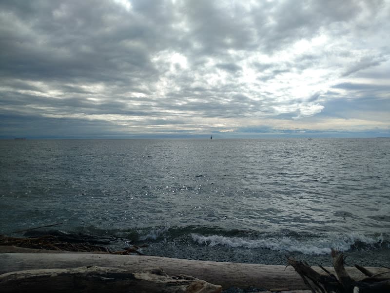 Driftwood Fort Beach