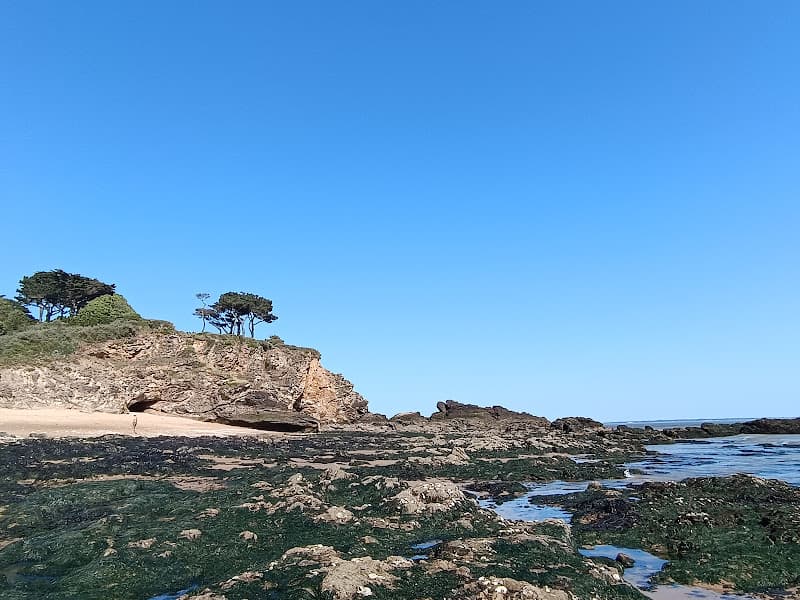 Plage de la Petite Vallée