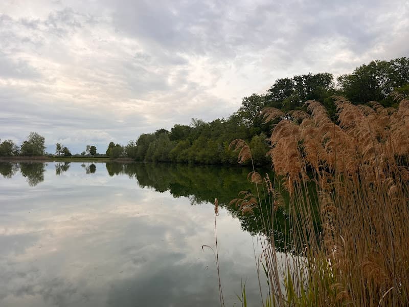 Badestelle Stockfeldsee