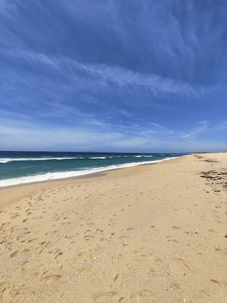 Praia da Sesmaria
