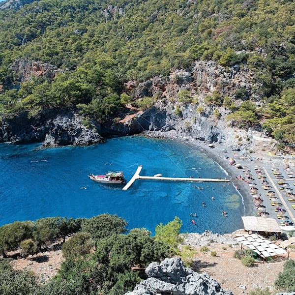 Aşı Koyu