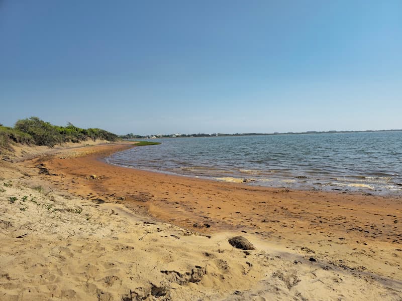 Iodine Beach