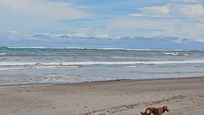 Playa Manzaillo