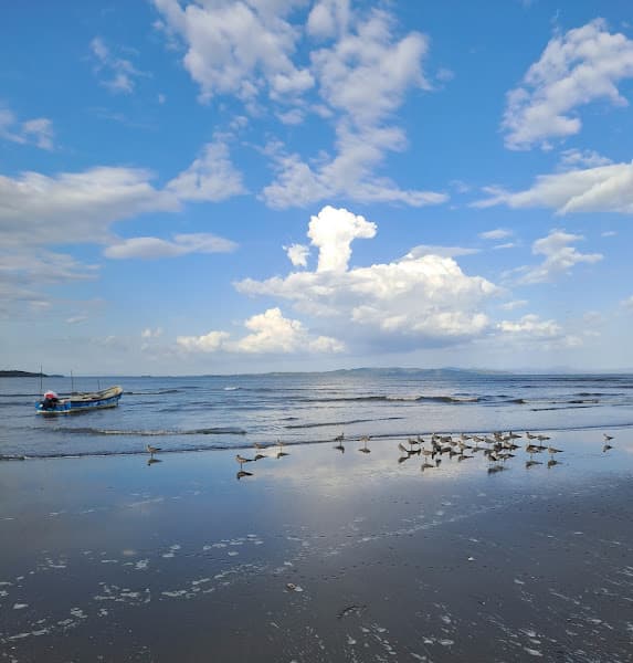Playa Lagartero