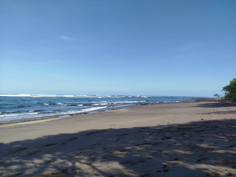 Playa Lagarto