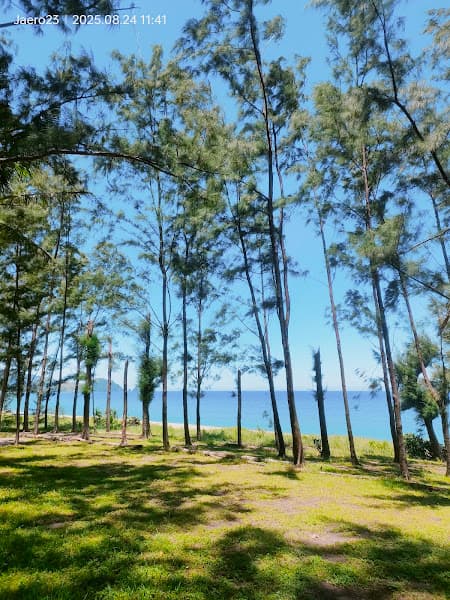 Claveria Beach