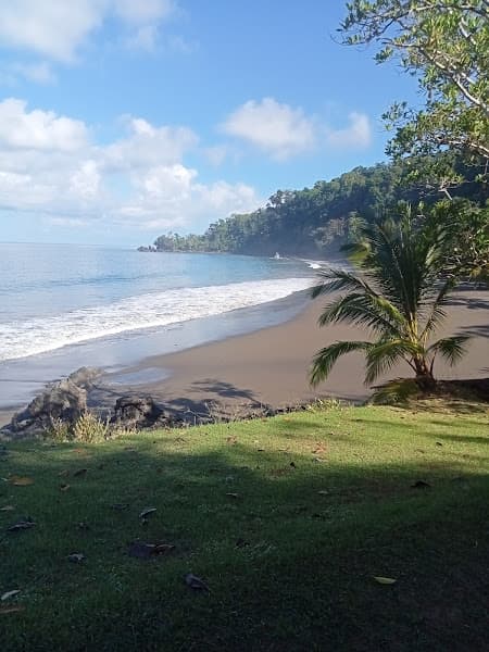 Playa San Pedrillo