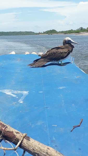 Isla Bajo Pipón