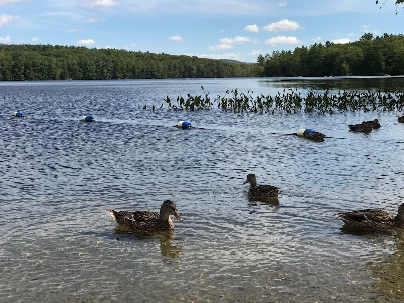 Canaan Street Lake Beach