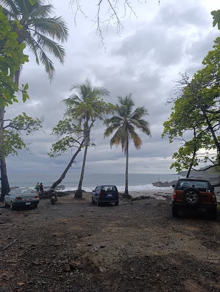 Playa Palmeras