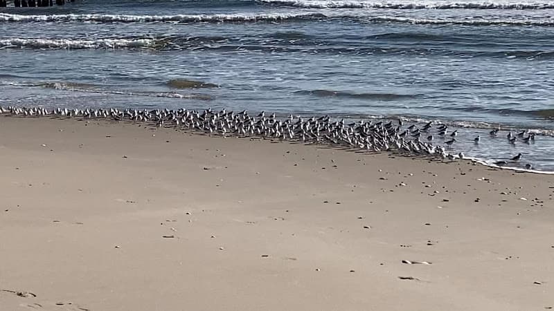 Jacob Riis Park Beach