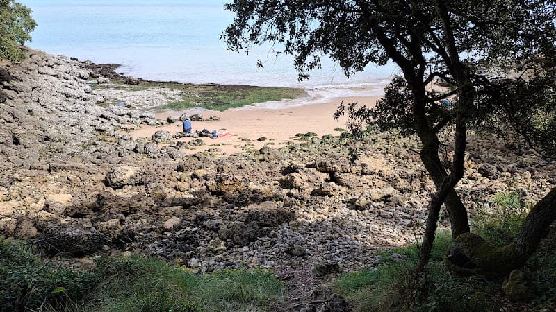 Baby Plage