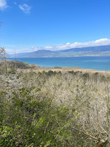 Plage d'Autavaux