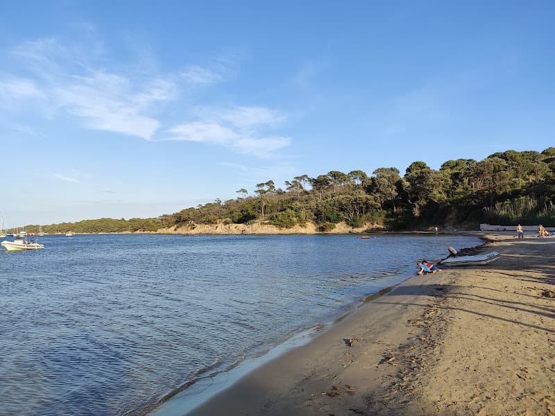 Plage La Polynésie